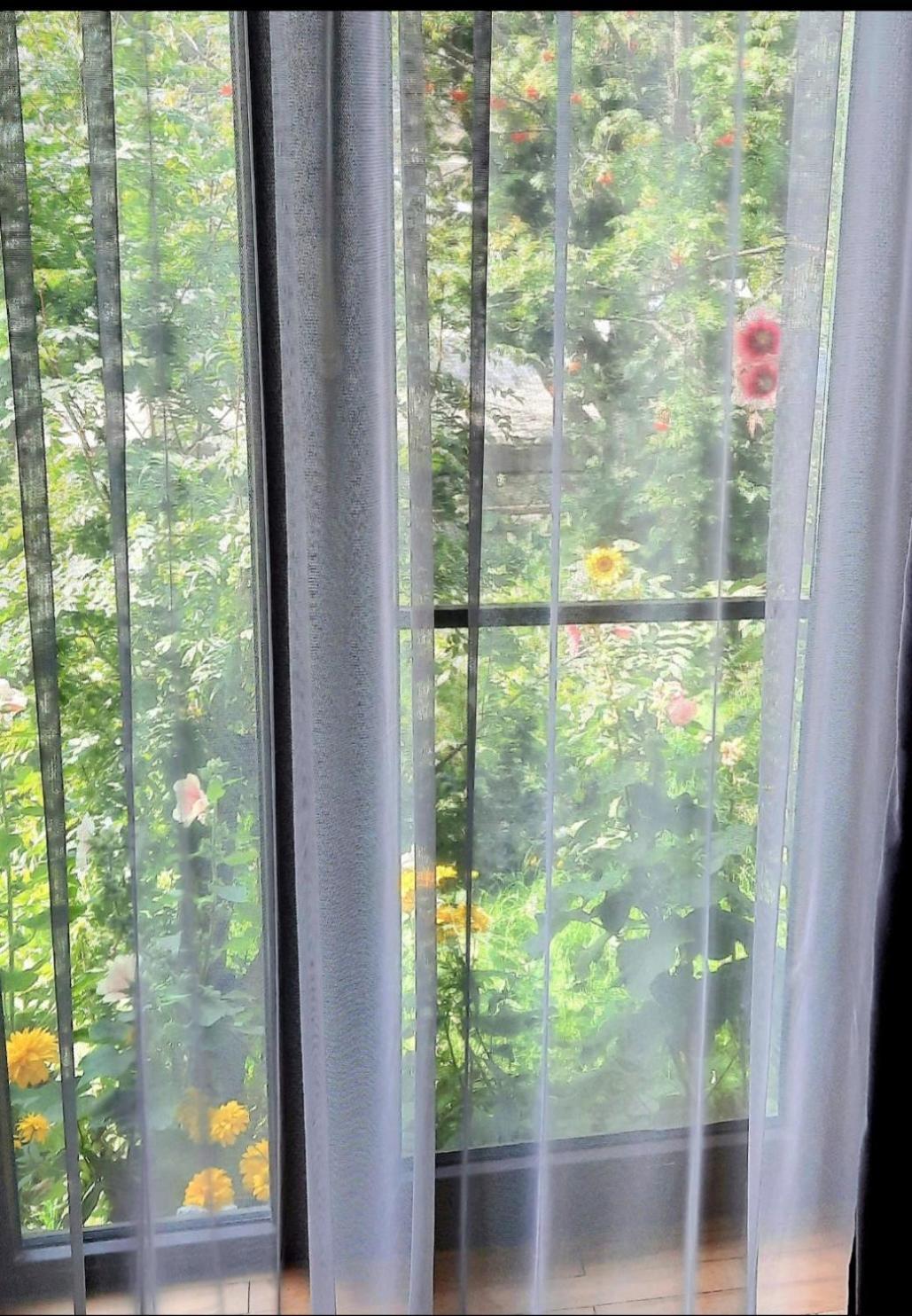 ホテル Gio-Nika カズベギ 部屋 写真
