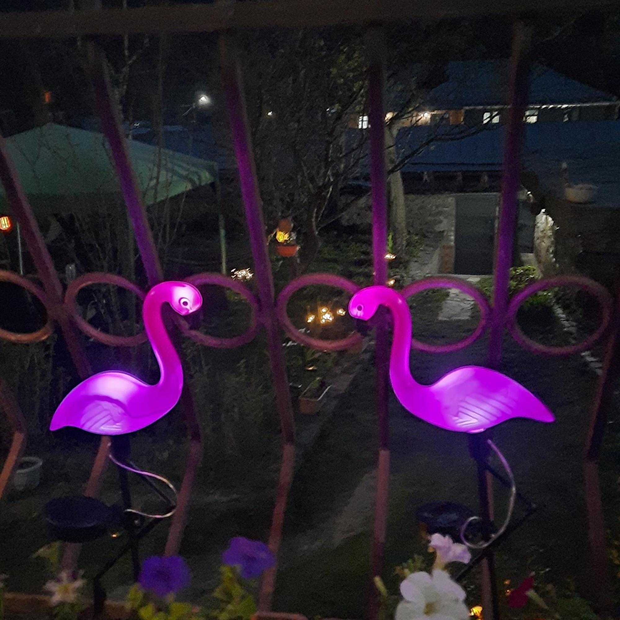 ホテル Gio-Nika カズベギ エクステリア 写真
